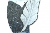 Esculape - Détail plume